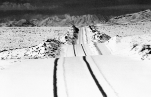 KIAROSTAMI, EL AMIGO DE LA SABIDURÍA