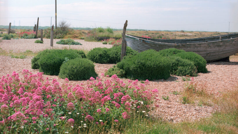 DEREK JARMAN 1942-1994: ET IN ARCADIA EGO