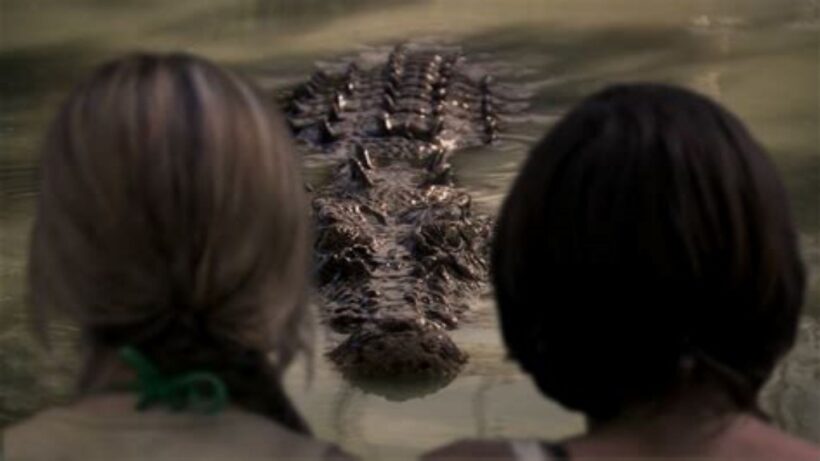 AMENAZA BAJO EL AGUA / BLACK WATER: ABYSS