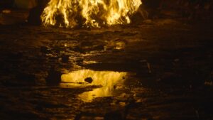 BERLINALE 2022: LAS INTERMITENCIAS DE LA LUZ