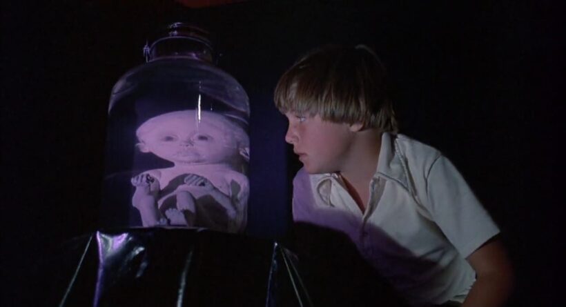LOS OLVIDADOS: ROBERT MULLIGAN