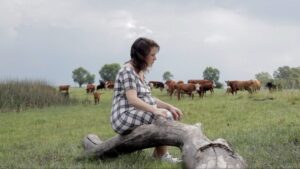 FESTIVAL INTERNACIONAL DE CINE DE MAR DEL PLATA 2022 (15): CARTAS DE CINE, UNA DESPEDIDA