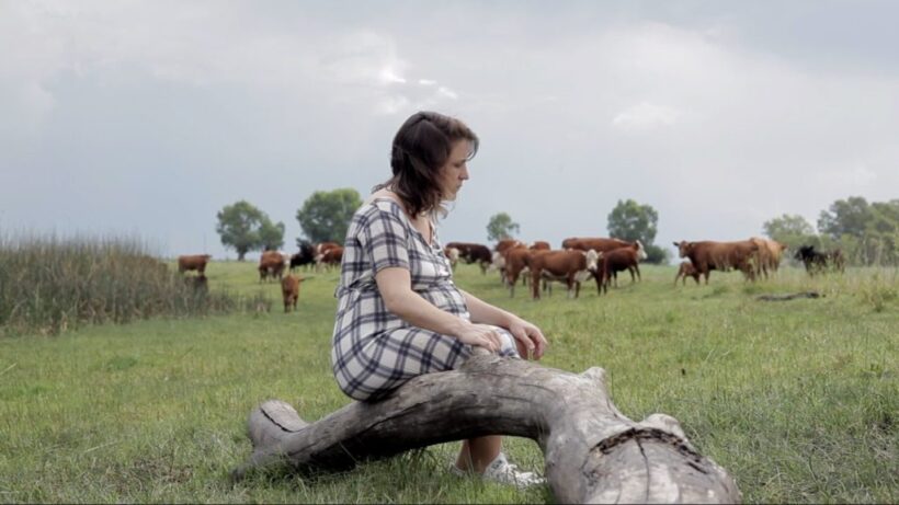 FESTIVAL INTERNACIONAL DE CINE DE MAR DEL PLATA 2022 (15): CARTAS DE CINE, UNA DESPEDIDA