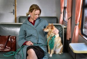 CANNES 2023 (10): LOS PREMIOS IMAGINARIOS
