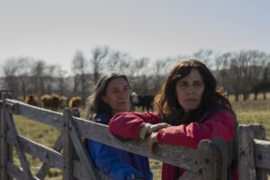 FICIC 2023 (05): PLANOS DE PROVINCIA
