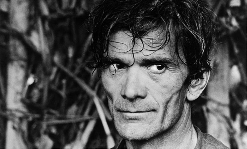CIEN AÑOS DE PIER PAOLO PASOLINI: LIBROS