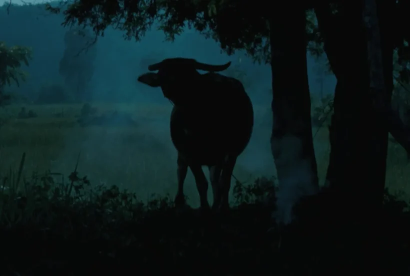 CINEFILIA ONLINE (25): SUEÑOS LÚCIDOS