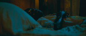 BERLINALE 2024 (06): LENGUAS Y AFLICCIONES