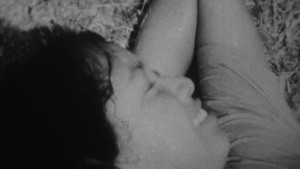LA CASA DEL CINEASTA: NO TE OLVIDES DE LA BELLEZA