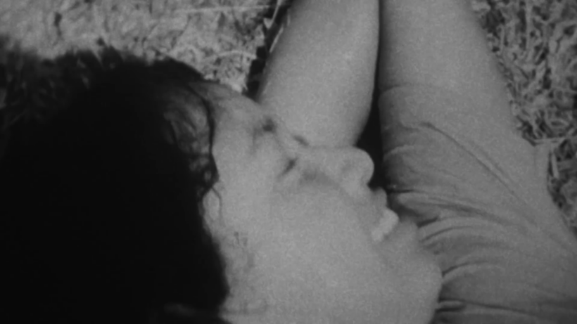 LA CASA DEL CINEASTA: NO TE OLVIDES DE LA BELLEZA
