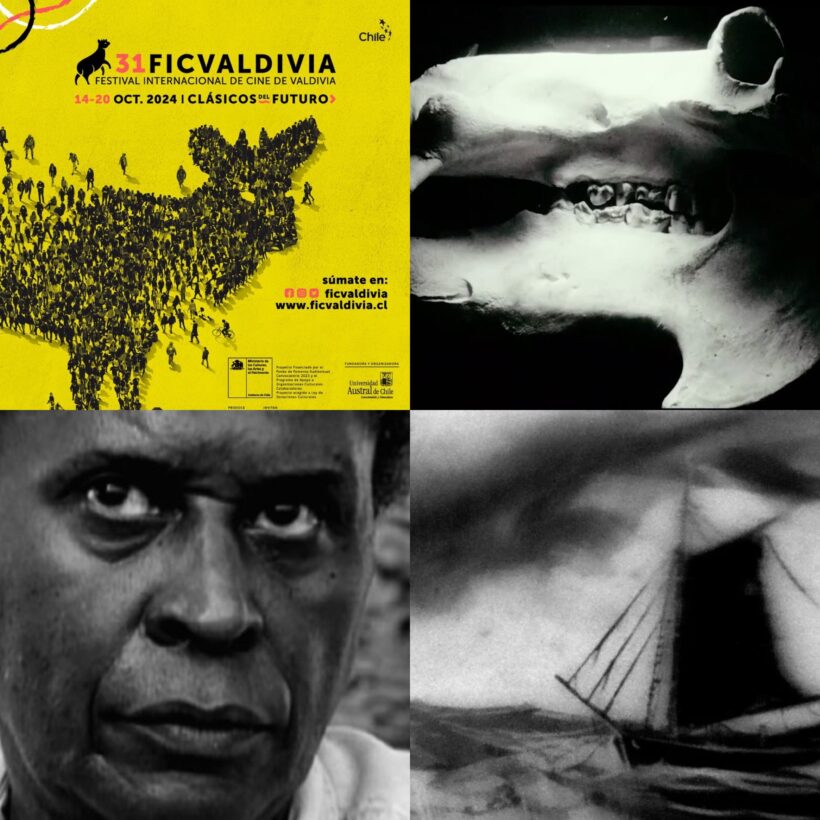 CRUZAR LOS ANDES: ALGUNAS CONJETURAS SOBRE LOS FESTIVALES, EL CINE CONTEMPORÁNEO Y LA HISTORIA DEL CINE ALREDEDOR DEL 31º FICVALDIVIA