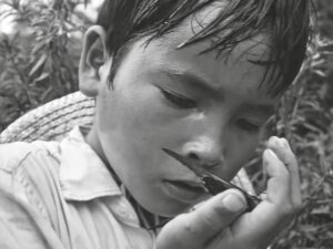 LA MARIPOSA DE ZHUANGZI