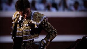 UNA NUEVA EDICIÓN DEL BAFICI: EL FESTIVAL SOLITARIO