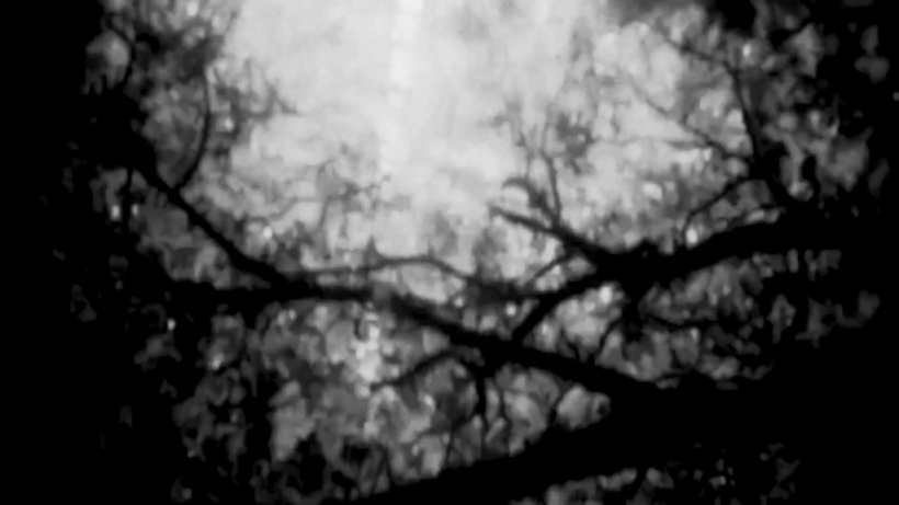 EL OJO Y EL OÍDO TIENEN MEMORIA