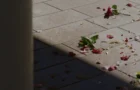 TRES DÍAS EN MARSELLA